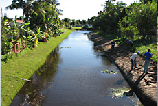 Erosion Control