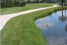 Geotube used to correct Pond Erosion