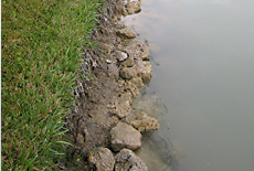 Repair and stop shoreline erosion problem