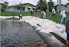 Shoreline Restoration